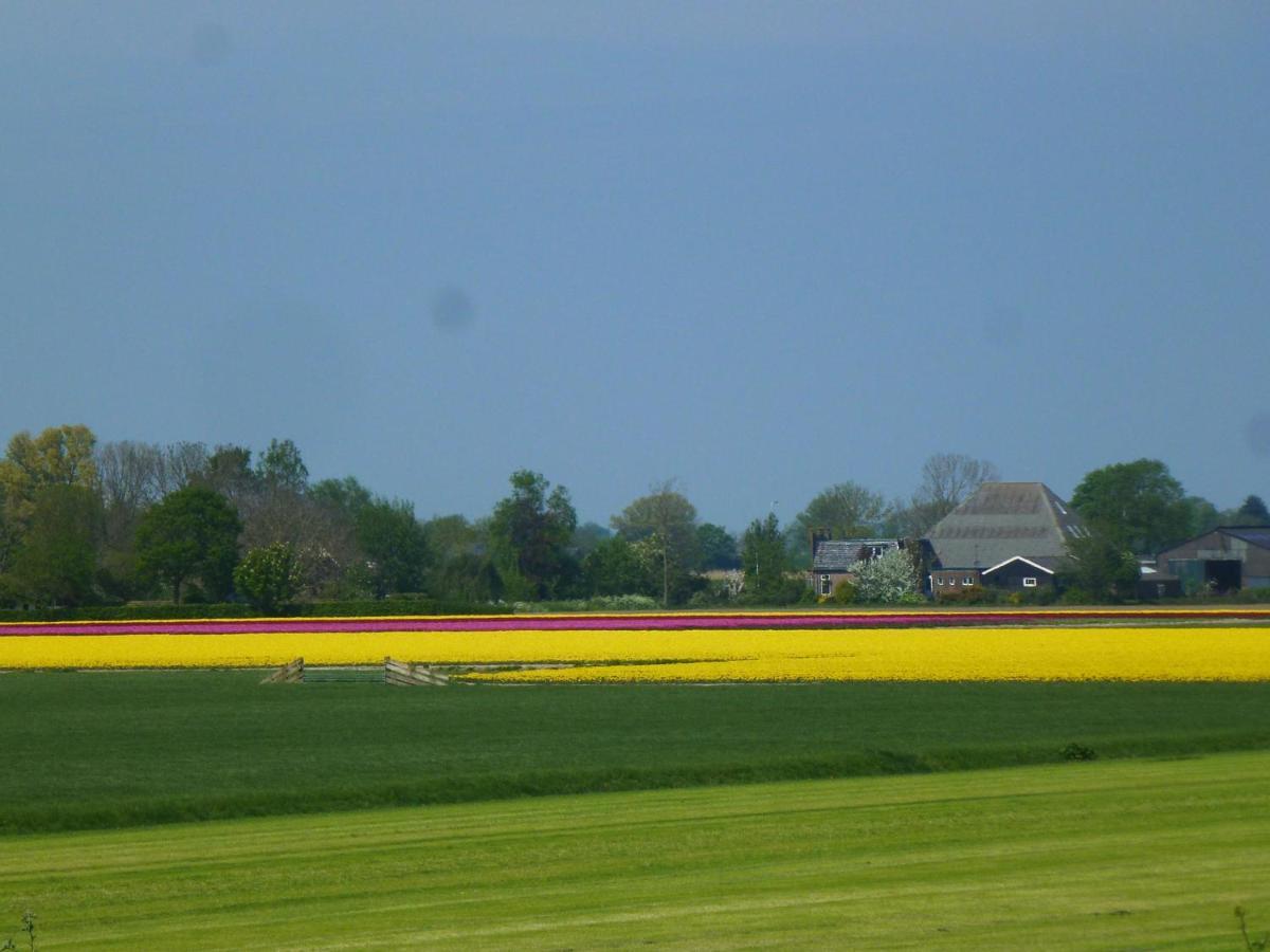 Het Burgemeestershuis Barsingerhorn Exteriér fotografie